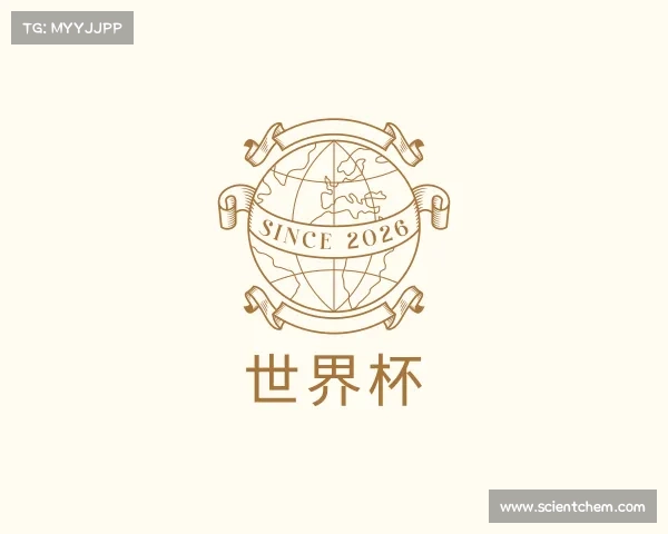 关于世界杯